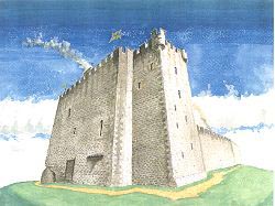 Donald Castle