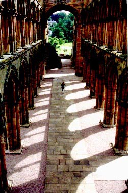 Jedburgh Abbey